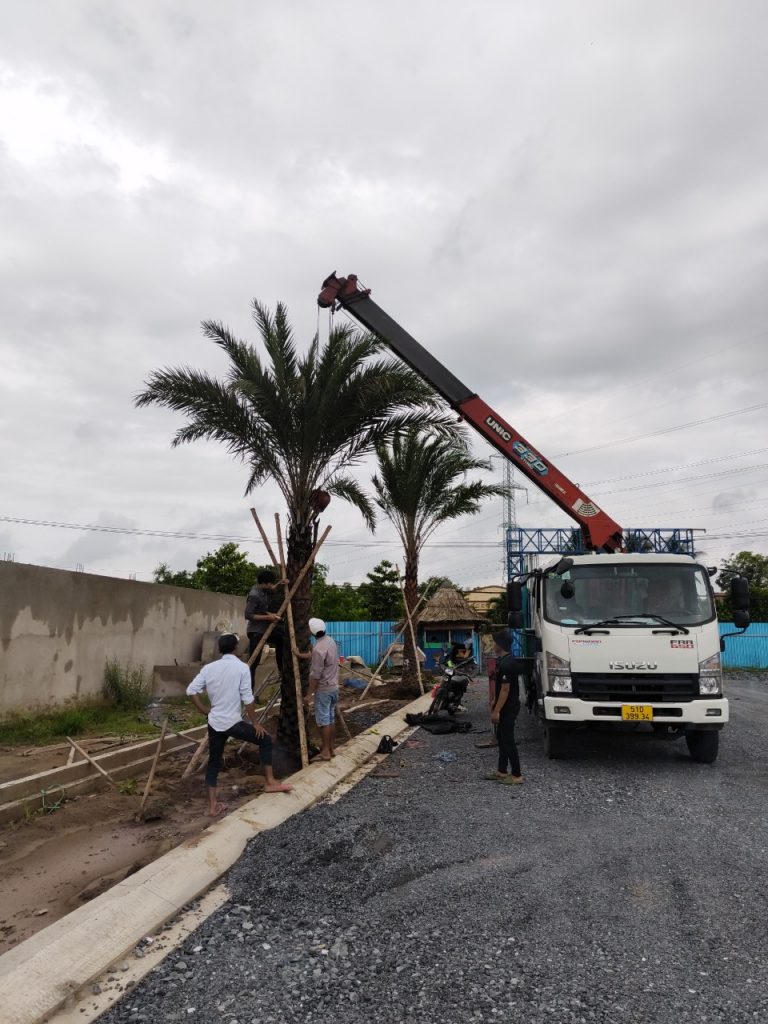 Tầm quan trọng của kiểm định xe tải gắn cẩu