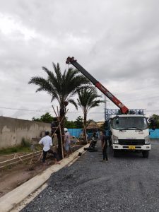 Lưu bản nháp tự động